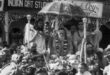Shri Gurudev Ji: The Jyotirmath Shankaracharya Lineage in the 20th Century